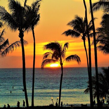 Hawaii stelt toeristenbelasting voor om milieubescherming te financieren