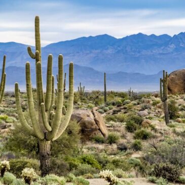Visum voor Arizona